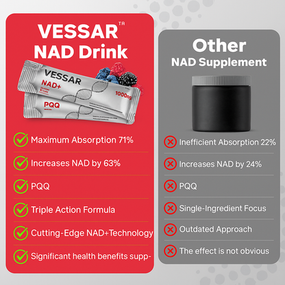 VESSAR 1000mg NAD+ Berry Flavor Drink Mix for Skin Aging Support, Energy, and Focus - 30 Pack -